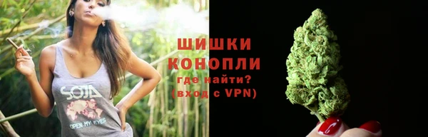 молекула духа Аркадак