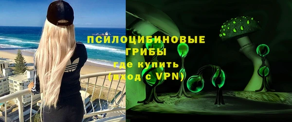 молекула духа Аркадак